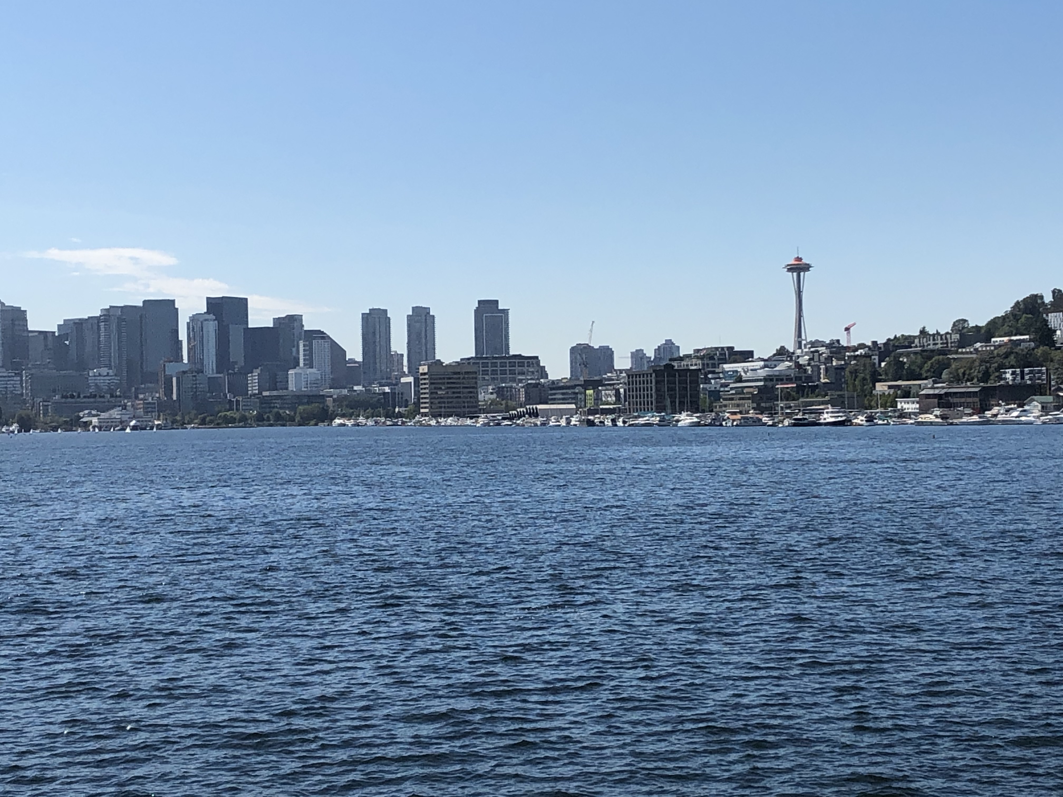 Seattle View