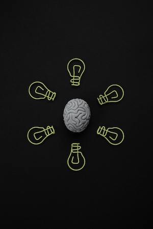 Brain